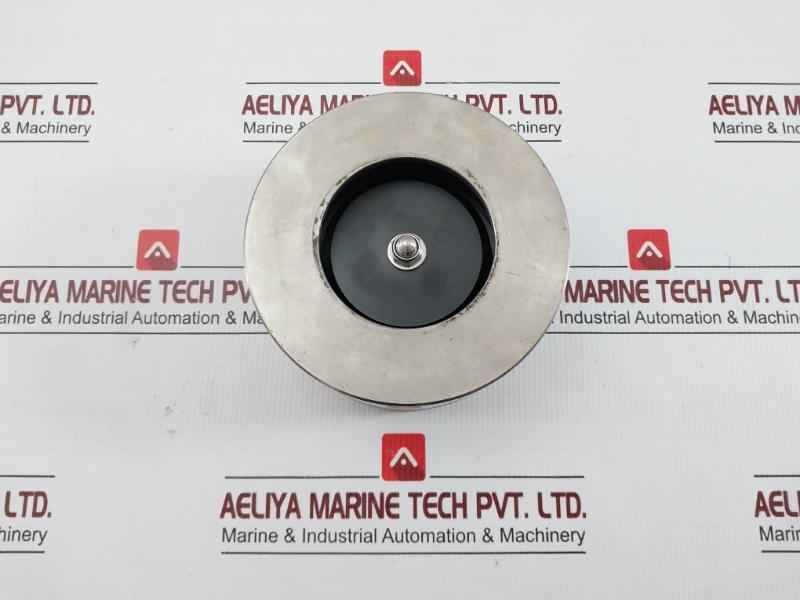 Sr.50.40 Ritag Check Valve On 25 Stainless Steel