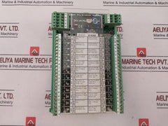 Stein Sohn F105005A Plus Analog Module