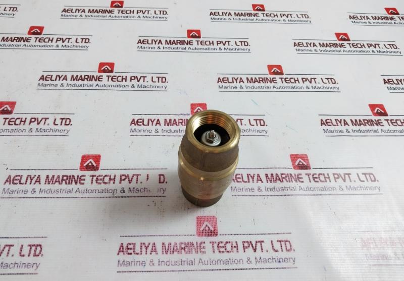 Strataflo 400 1" Fpt Check Valve W/ Spring Loaded Brass Body-s. Steel Seat, Cone