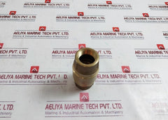 Strataflo 400 1" Fpt Check Valve W/ Spring Loaded Brass Body-s. Steel Seat, Cone
