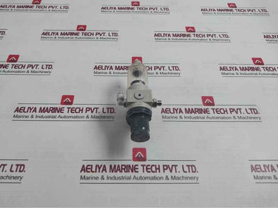 Strumentazione Pneumatic Pressure Regulator 0 To 35Psi 0 To 2.5Bar