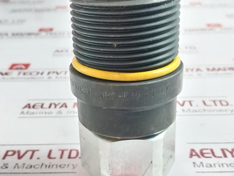 Stucchi 806501007 Vep Carbon Steel Flat Face Coupling Bd344892