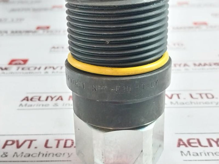Stucchi 806501007 Vep Carbon Steel Flat Face Coupling Bd344892