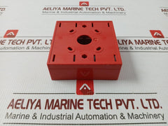 Sus516W Thorn Surface/Flush Mount Back Box