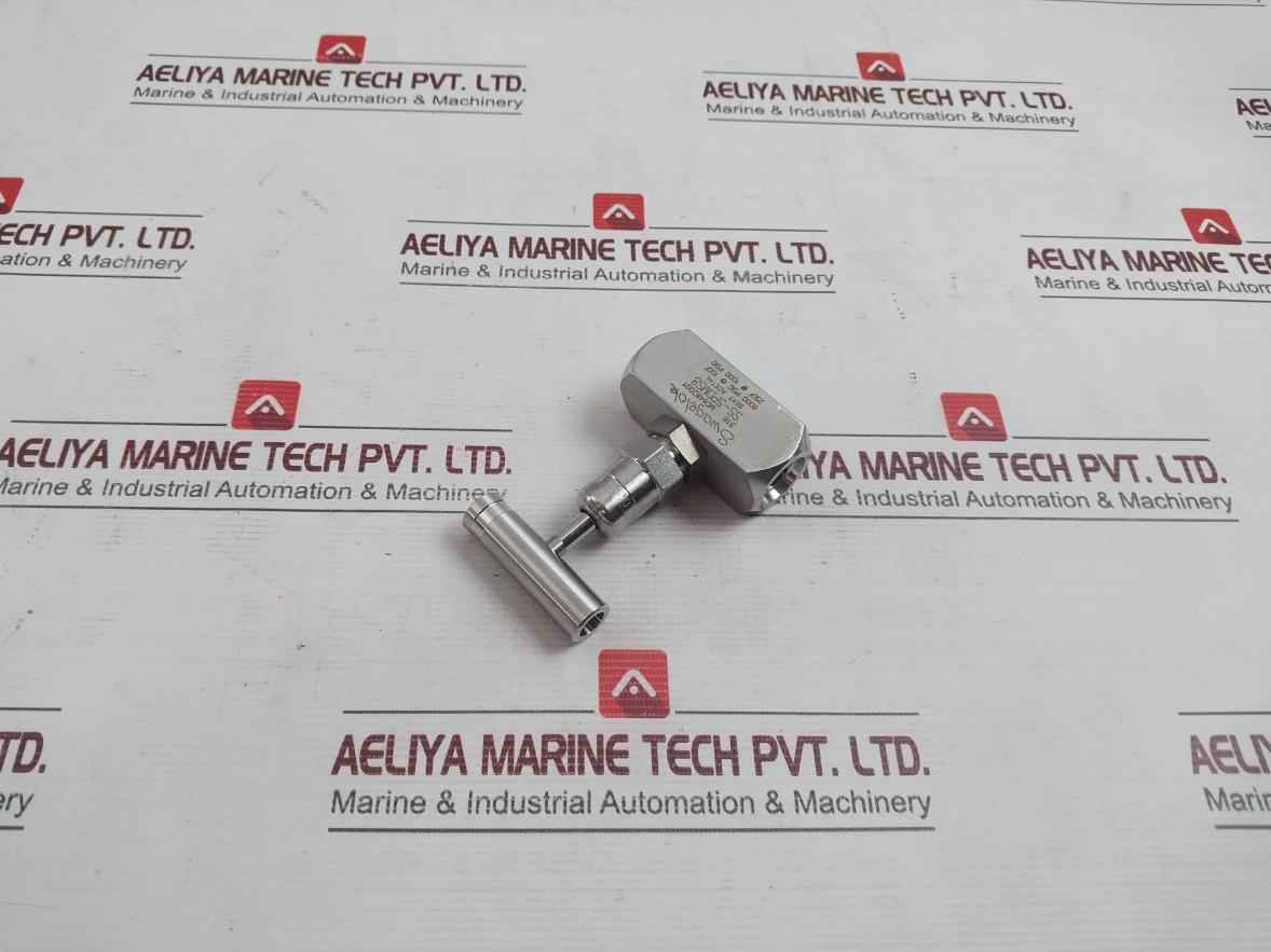 Swagelok Ss-5Pdms8 Stainless Steel Rising Plug Screwed-bonnet Needle Valve