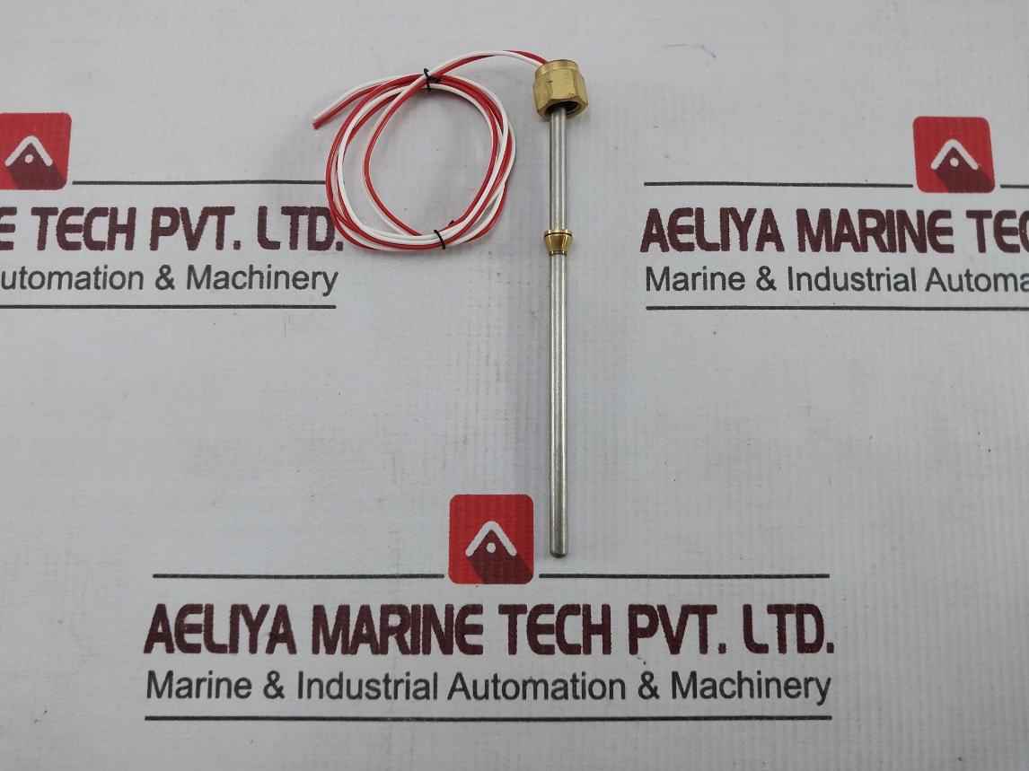 Swagelok Temperature Sensor