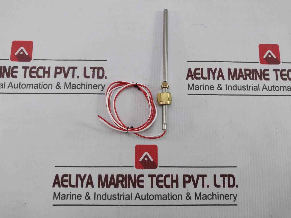 Swagelok Temperature Sensor