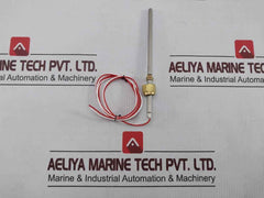 Swagelok Temperature Sensor