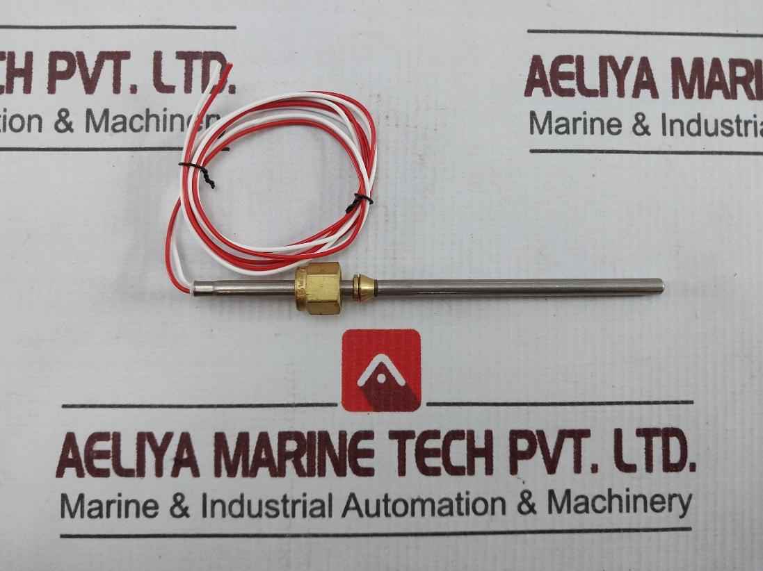 Swagelok Temperature Sensor