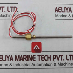 Swagelok Temperature Sensor