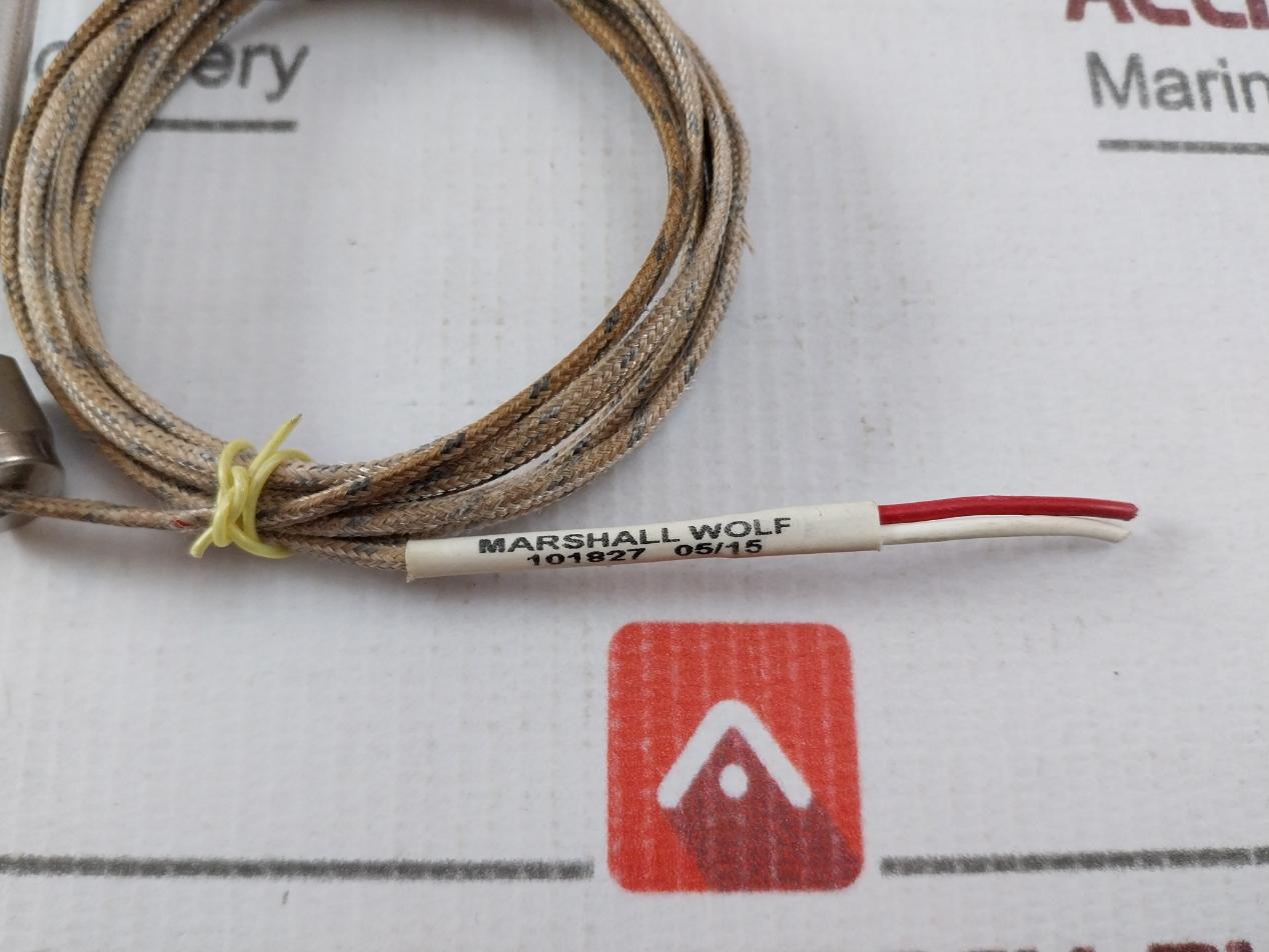 Swagelok 316 9W 4 Temperature Sensor 2 Meter 101827