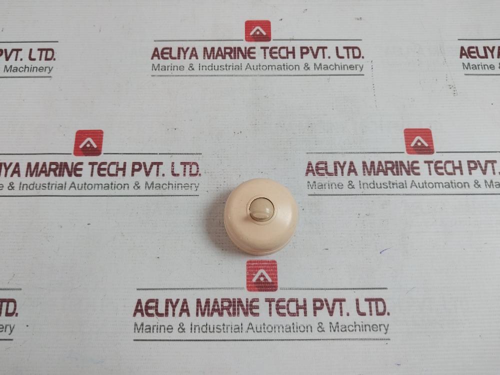 Switches And Cabin Concealed Receptacle Ip20 250V 2A