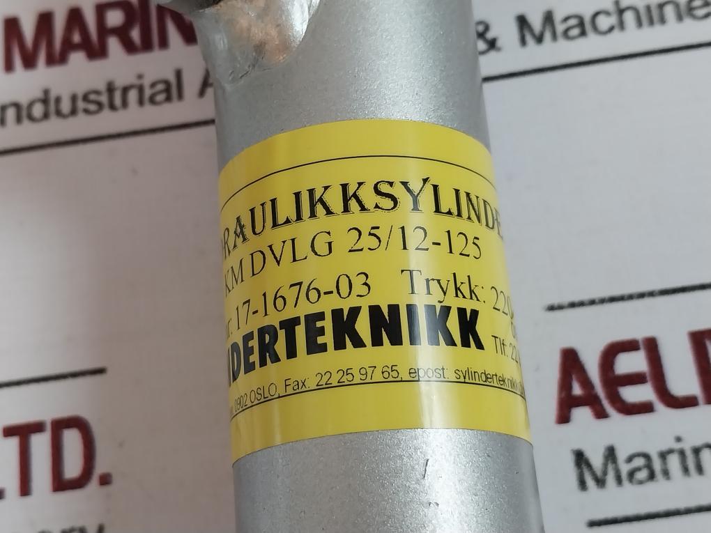 Sylindertikk Km Dvlg 25/12-125 Hydraulic Cylinder 17-1676-03