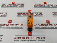 Syrelec BLRM Time Relay 250V