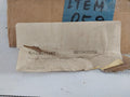 TSE-10M-Power-Transformer-230V-15V-100Va-60Hz-Terasaki-Electric-209872-11