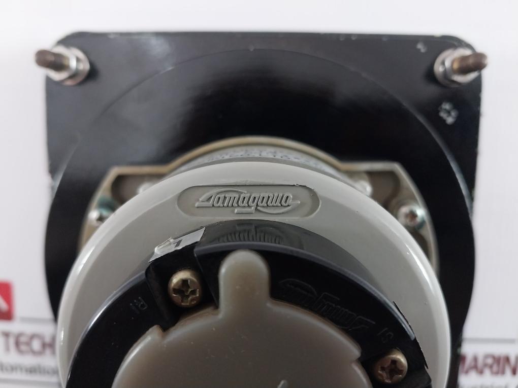 Tamagawa Seiki Ts 5N2E19 Motor With Meter 100/110V 50/60Hz Ac115V