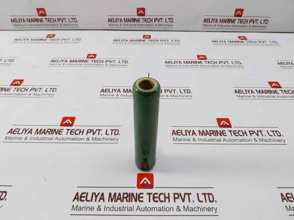 Tamaohm Rwh 100g Resistor