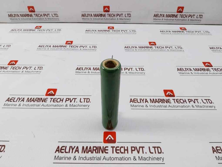Tamaohm Rwh 100g Resistor