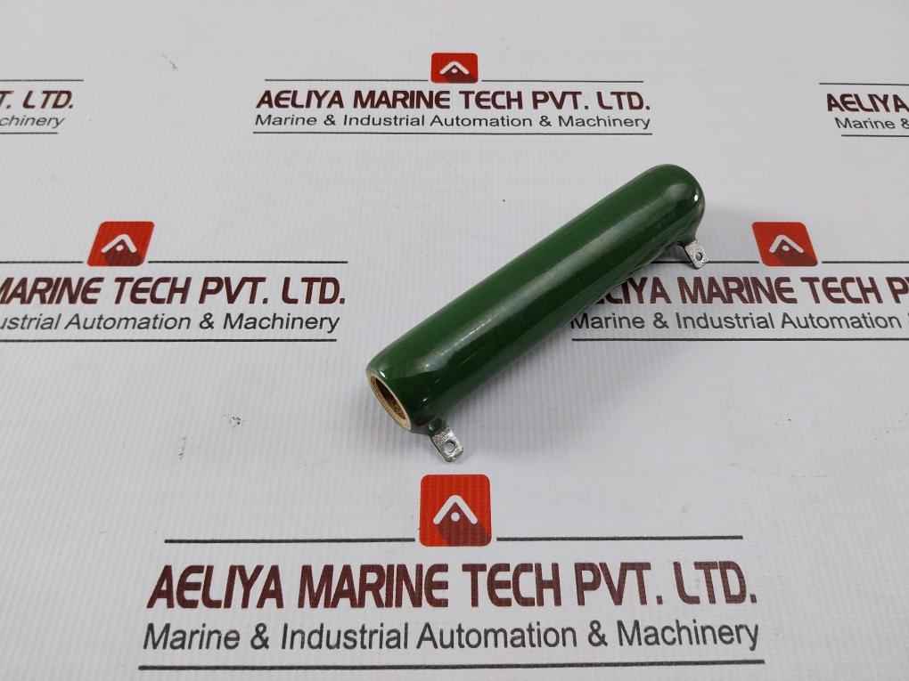 Tamaohm Rwh 100g Resistor