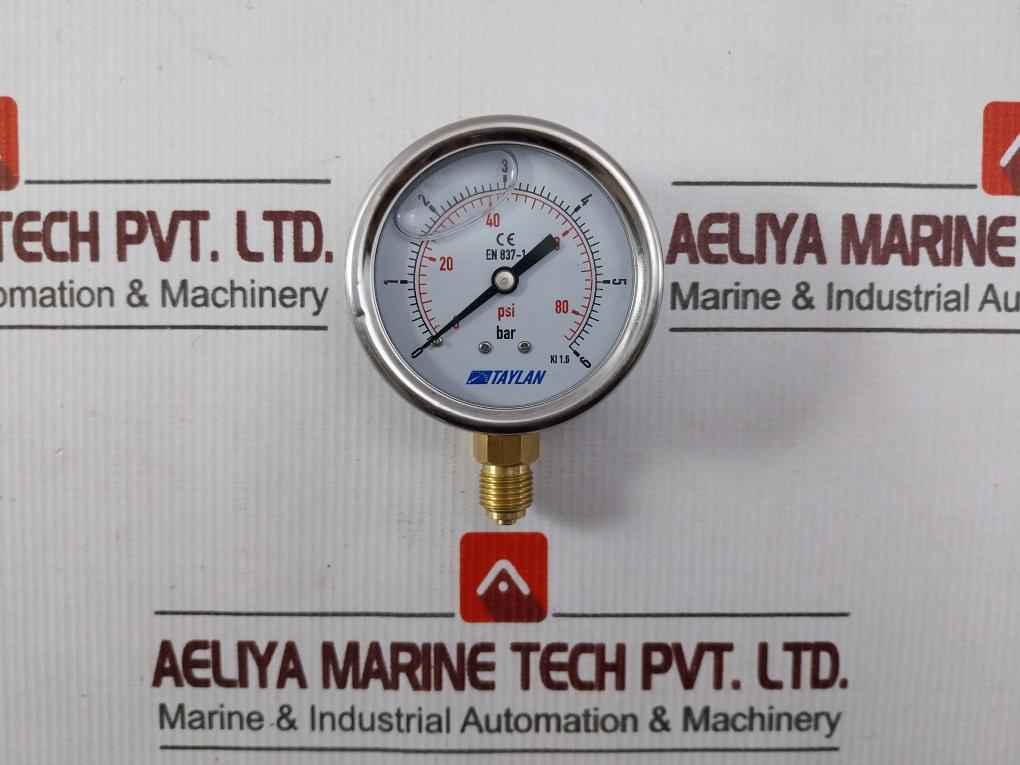 Taylan En 837-1 Pressure Gauge 0 To 6 Bar 0 To 80/86 Psi