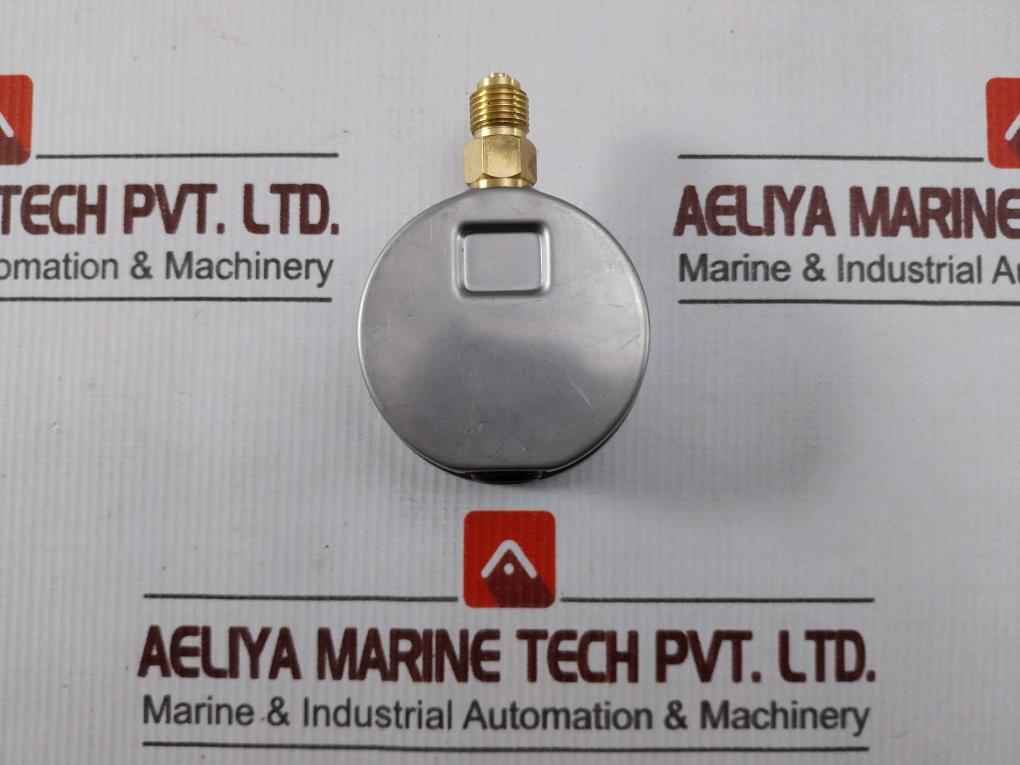 Taylan En 837-1 Pressure Gauge 0 To 6 Bar 0 To 80/86 Psi