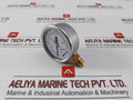 Taylan En 837-1 Pressure Gauge 0 To 6 Bar 0 To 80/86 Psi