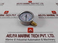 Taylan En 837-1 Pressure Gauge 0 To 6 Bar 0 To 80/86 Psi