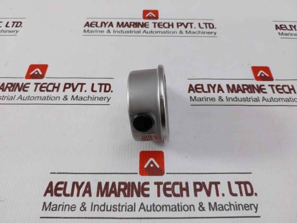 Taylan En 837-1 Pressure Gauge 0 To 6 Bar 0 To 80/86 Psi