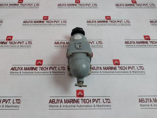 Taylor 95963-25 Pneumatic Pressure Gauge 0.35-2.11 Kg/Cm2