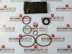 Taylor Valve Technology Sk-ic-1 Rupture Pin 3" Ic Rebuild Kit