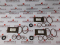 Taylor Valve Technology Sk-ic-1 Rupture Pin O-ring Seal Kit