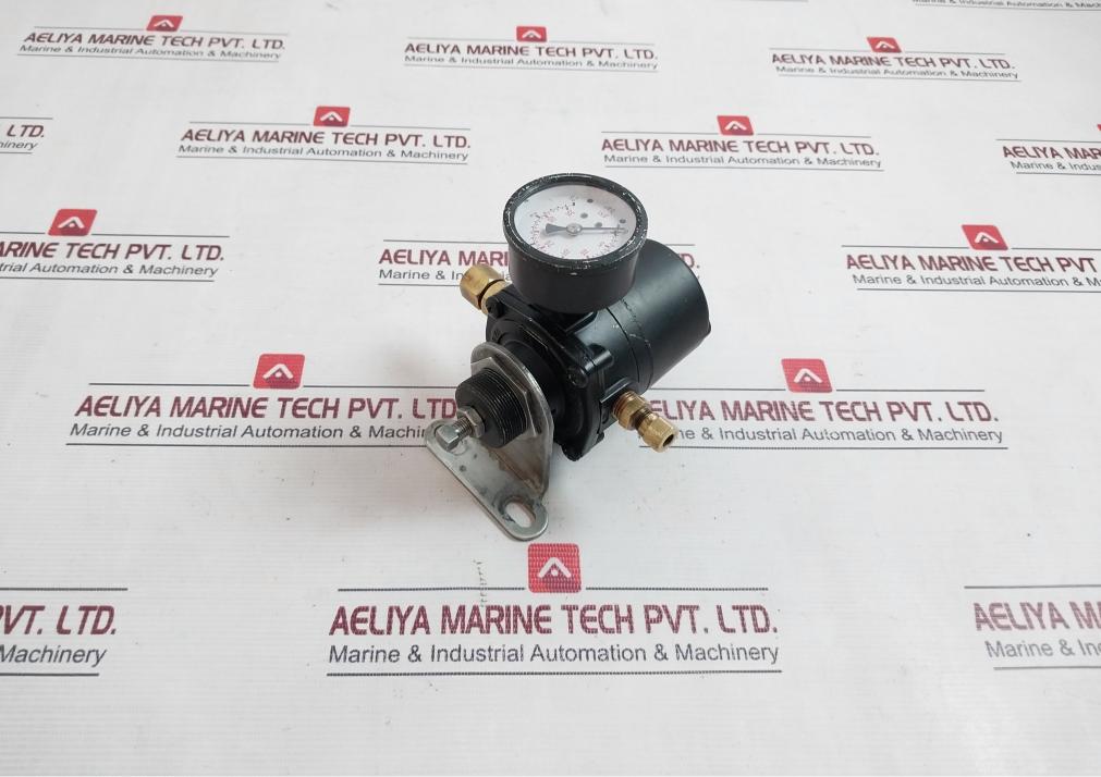 Tecnova Pressure Regulator 0 To 35 Psi 0 To 2.5 Bar