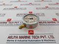 Tecsis 0-60 Bar Pressure Gauge 4131224460