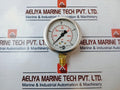 Tecsis Ng/Dia Pressure Gauge 0-400 Bar 0-5800 Psi