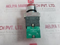 Teknic 2Alrf4L Illuminated Flush Actuator 240Vac±20% 500V Ith: 10A 110V, 0.5A