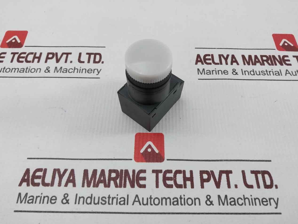 Telemecanique Xb7-ev8.P Push Button Pilot Light 230V 50/60Hz