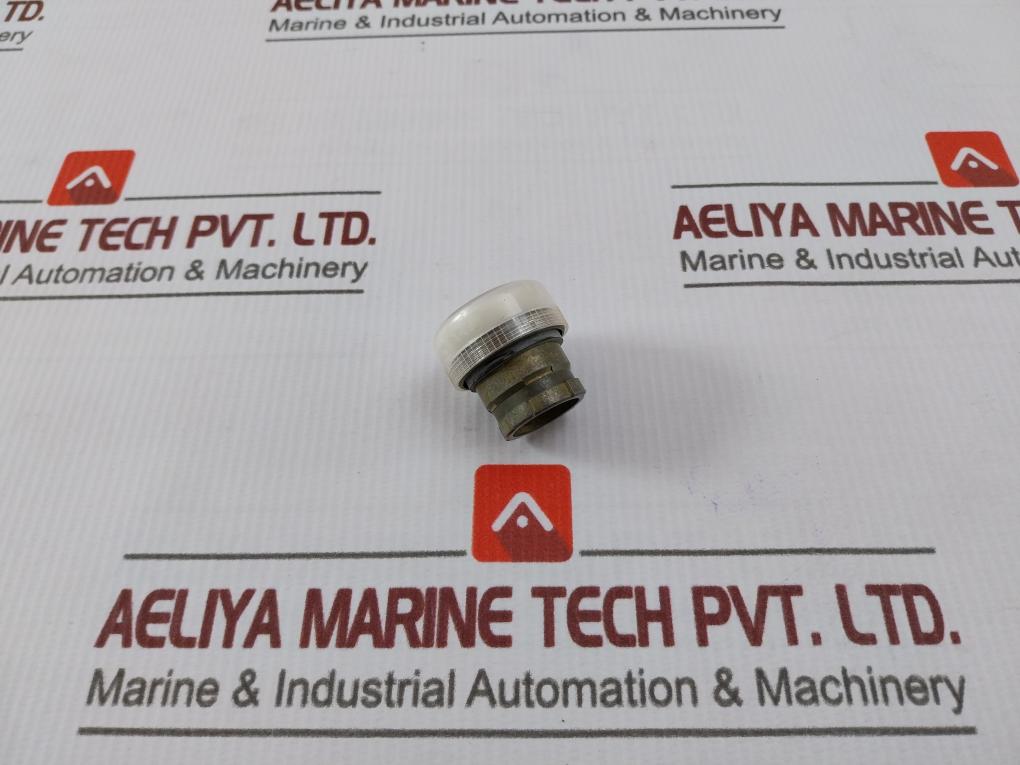 Telemecanique Zb2 Bv07 Pilot Light Head White