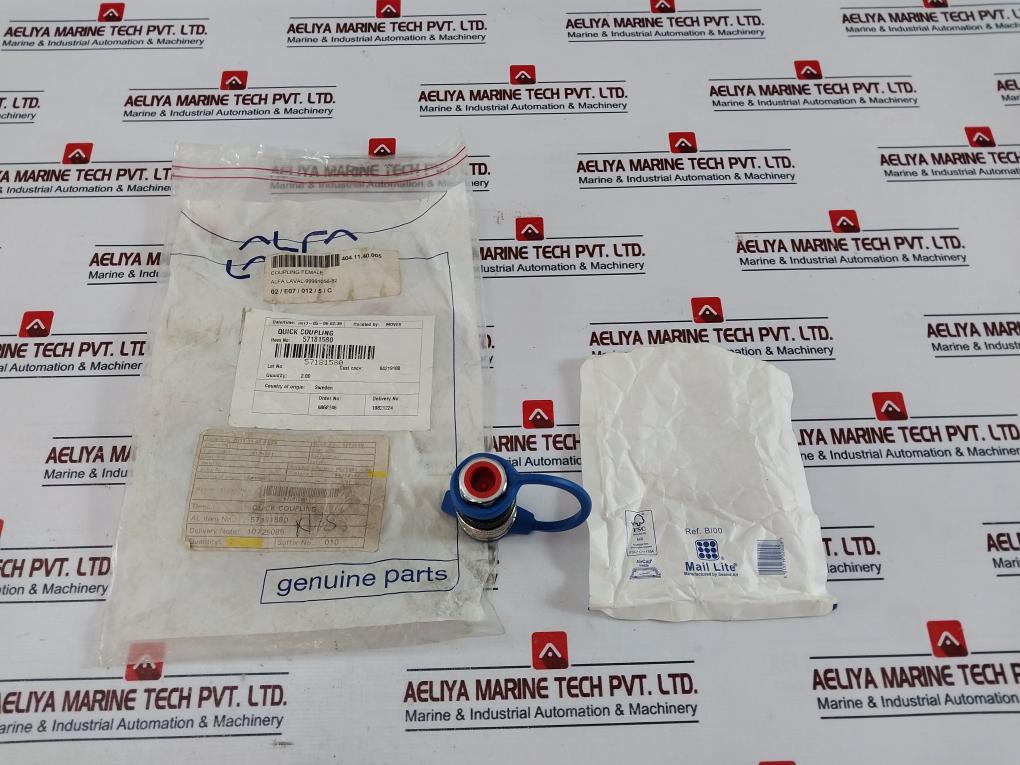 TEMA 3816 Quick Connect Coupling Female 3810V