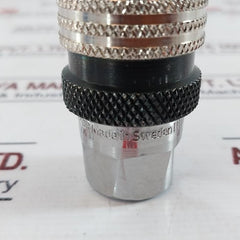 TEMA 3816 Quick Connect Coupling Female 3810V