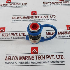 TEMA 3816 Quick Connect Coupling Female 3810V