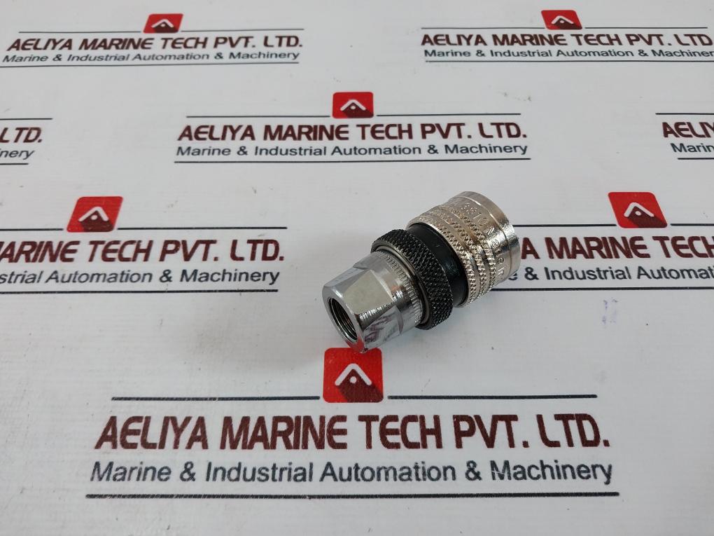 TEMA 3816 Quick Connect Coupling Female 3810V