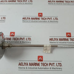 Temperature Indicator 0/60 Gr.C L=300Mm Econosto 0-60°C