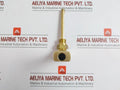Temperature Indicator Sika 0-60 C