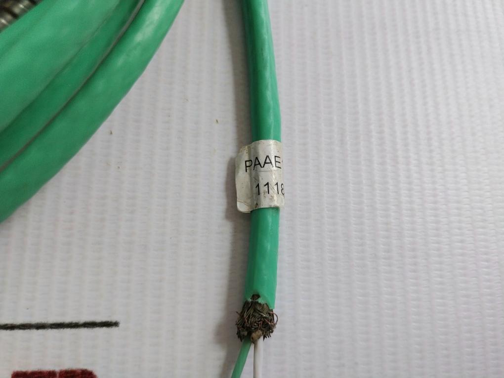 Temperature Sensor Paae180418 5-meter