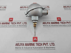 Temperature Sensor Pt100 0...120°C