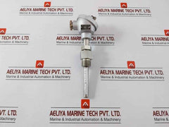Temperature Sensor Pt100Ω Daeyoung