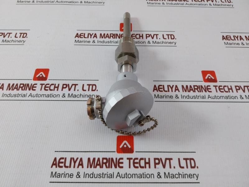 Temperature Sensor Pt100Ω Daeyoung