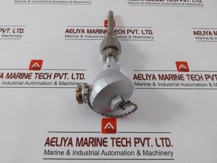 Temperature Sensor Pt100Ω Daeyoung