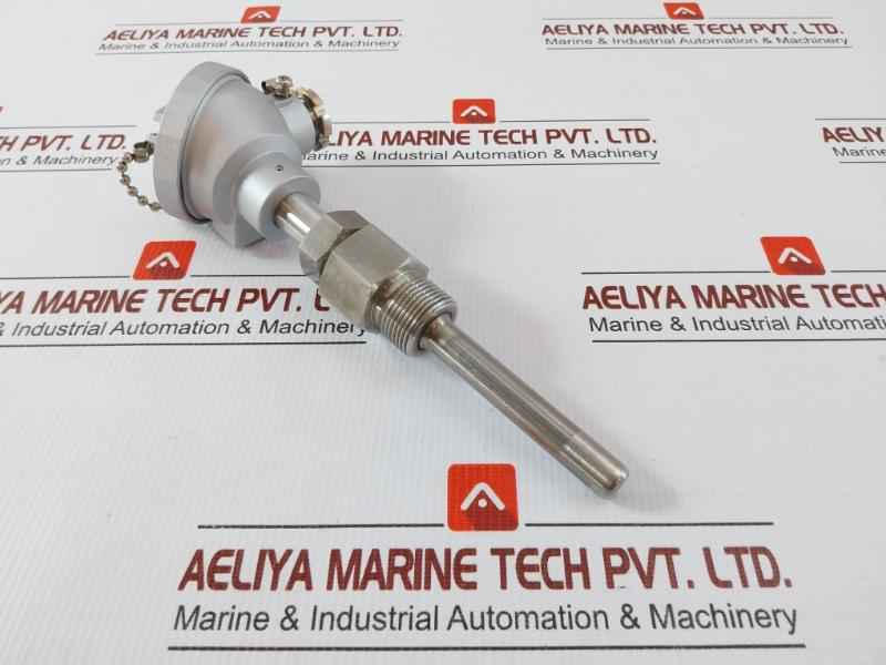 Temperature Sensor Pt100Ω Daeyoung