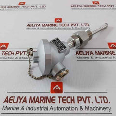 Temperature Sensor Pt100Ω Daeyoung